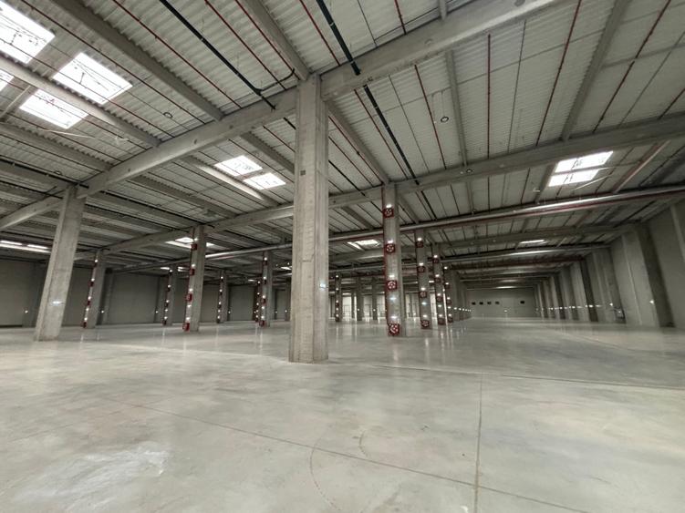 Spațiu industrial, de 20,000 mp, în Ștefăneștii de Jos