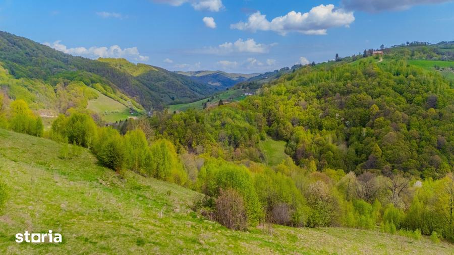 Teren de 18537 mp, în Poiana Mărului