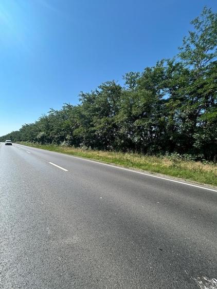 Teren în Trafic Greu