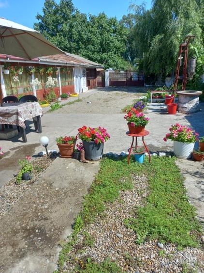Vand Casa sat Greci comuna Osica de Sus - 3