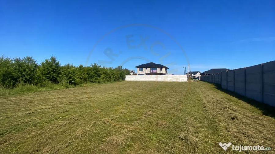 Teren intravilan 530 Mp | Albota - 1