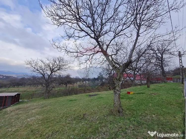 Teren de 1600 mp, în Păulești