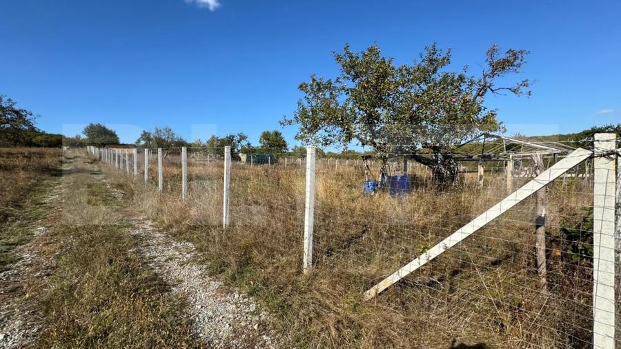 Teren Construcții extravilan de 950 mp, în Nord