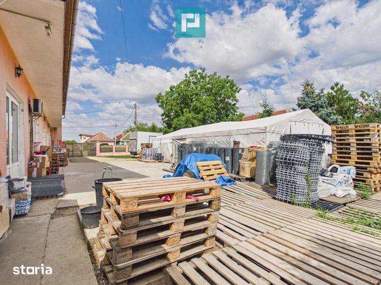 Casă cu 9 camere cu Teren 1579 Mp în Tămășeu
