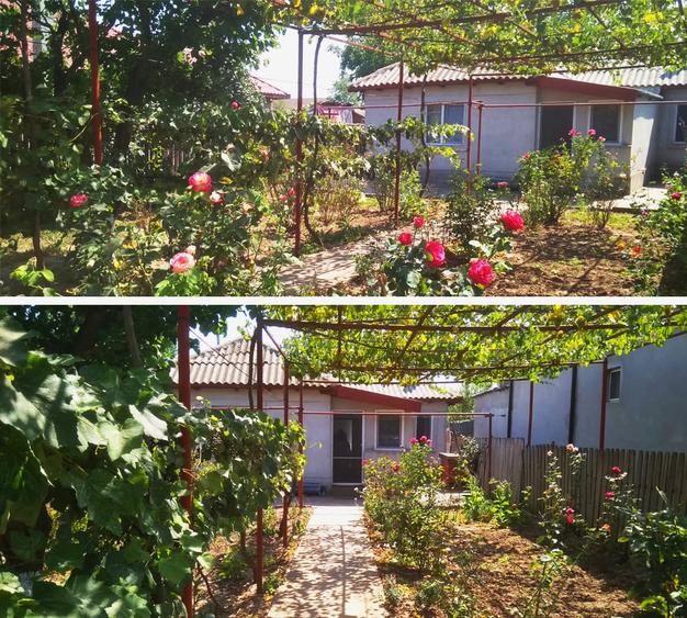 Casă cu 6 camere cu Teren 1340 Mp în Central