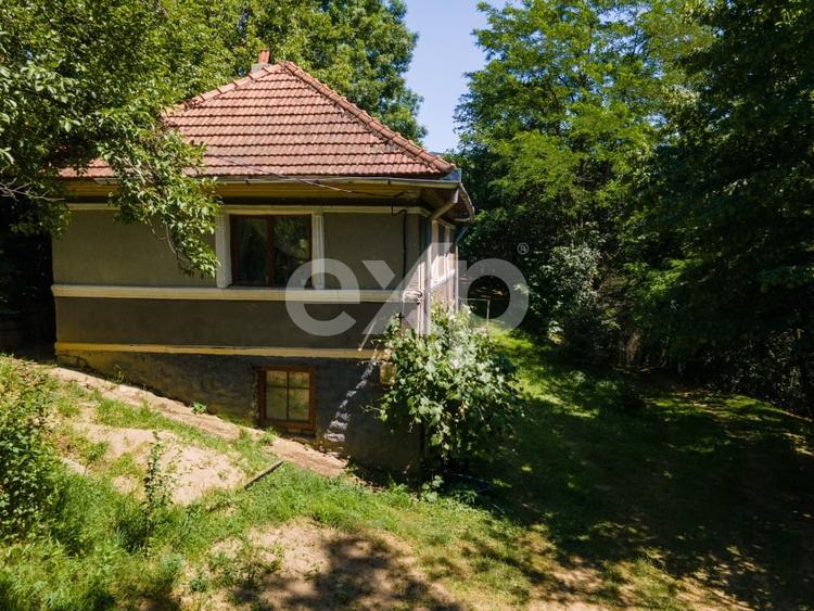 Casă individuală cu 3 camere cu Teren 3288 Mp în Bucea