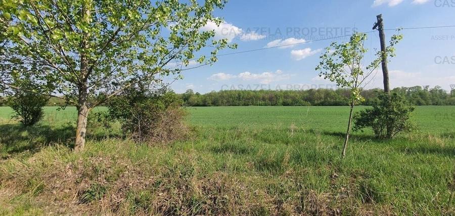 Teren agricol intravilan de 17900 mp, în Răcari