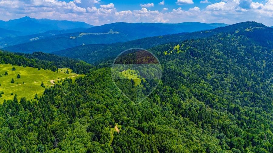 Teren agricol extravilan de 7000 mp, în Gârcini