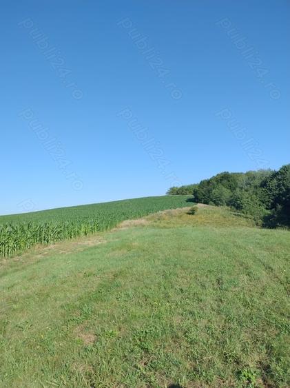 Teren în Valea Albă