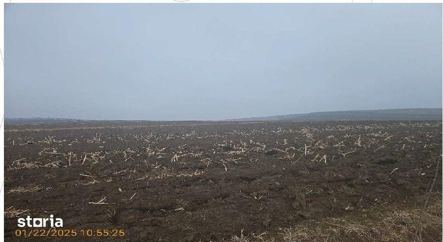 Teren de 2200 mp, în Călărași