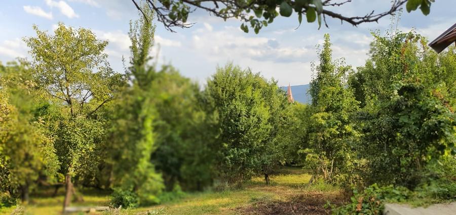 Teren Construcții intravilan de 640 mp, în Cisnădie