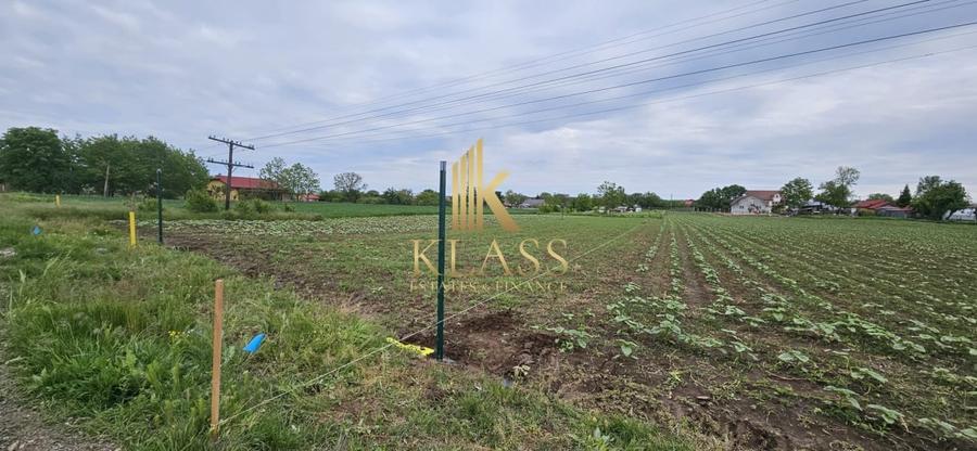 Teren Construcții intravilan de 1000 mp, în Moara Vlăsiei
