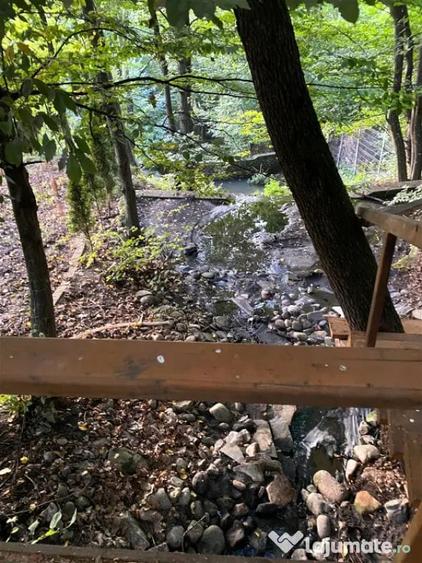 Casă cu 5 camere cu Teren 3000 Mp în Făget