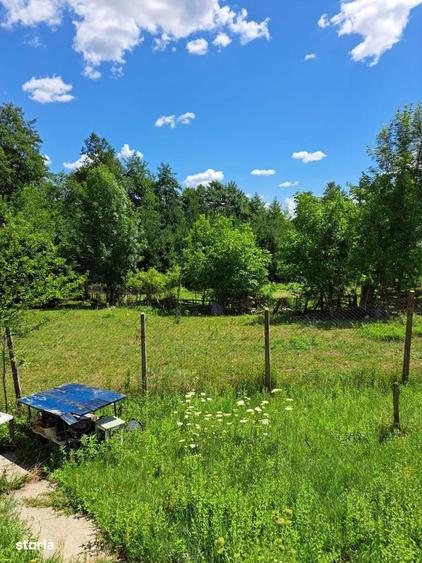 Teren de 4900 mp, în Central