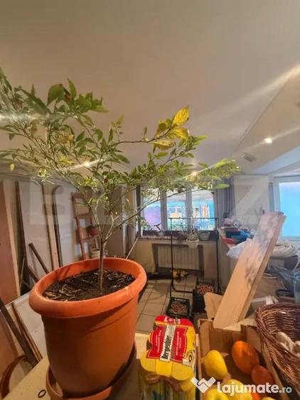 Casă cu 6 camere cu Teren 250 Mp în Bereasca