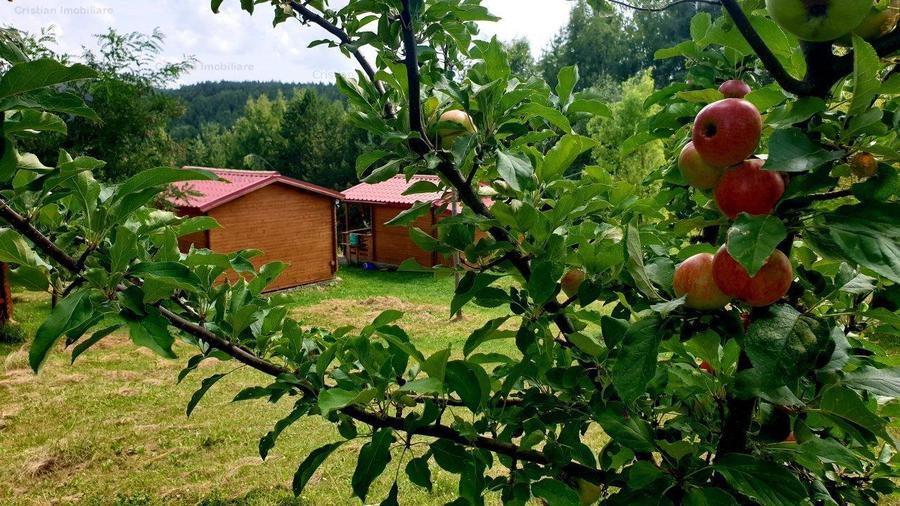 Casă cu 12 camere cu Canalizare în Plaiu Nucului