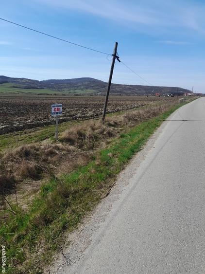 Teren de 4300 mp, în Arcalia