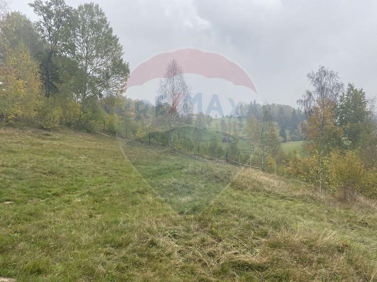 Teren Construcții intravilan de 8119 mp, în Călățele