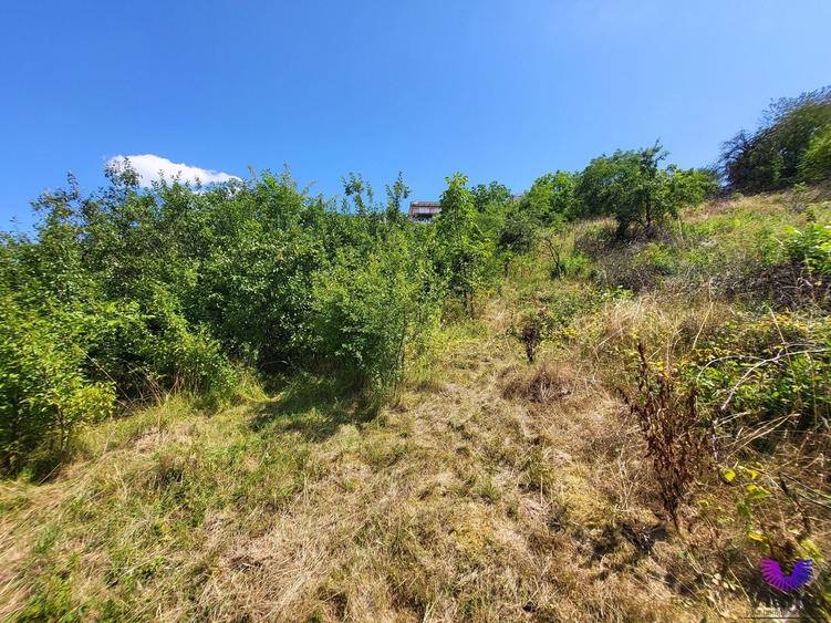Teren Construcții intravilan de 546 mp, în Tilișca