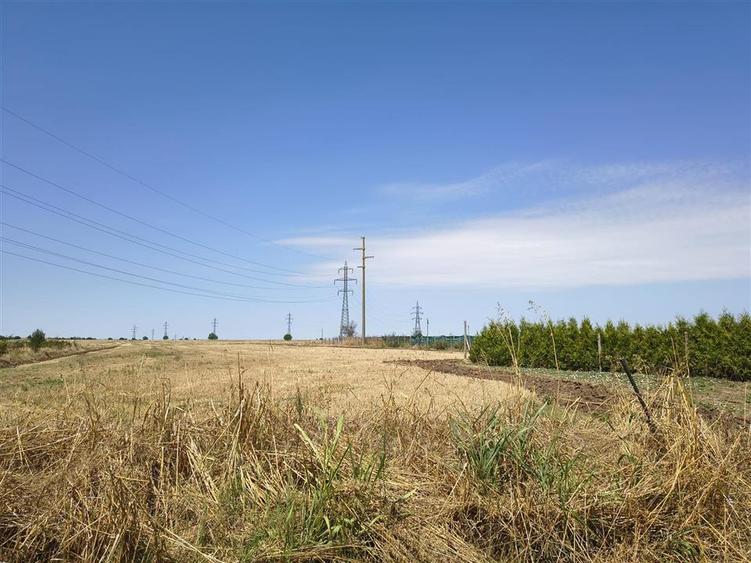 Teren agricol intravilan de 1000 mp, în Agigea