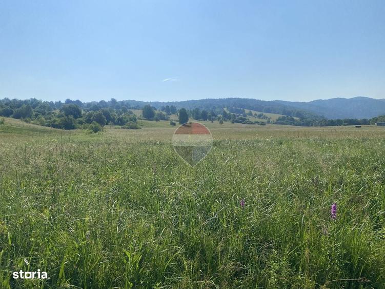 Teren 4,306mp Vama Buzaului langa Cascada Urlatoarea - 5