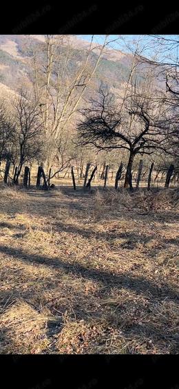 Teren de 7000 mp, în Exterior Vest