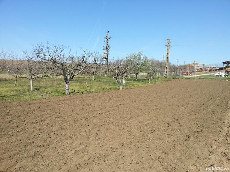 Casă cu 3 camere în Bugeac