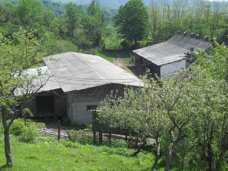 Teren în Toculești