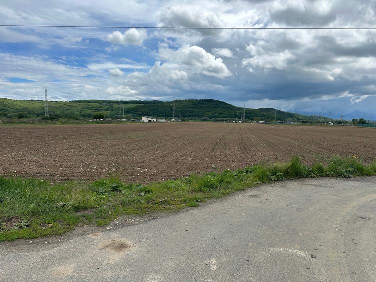 Teren Construcții extravilan de 3240 mp, în Șelimbăr