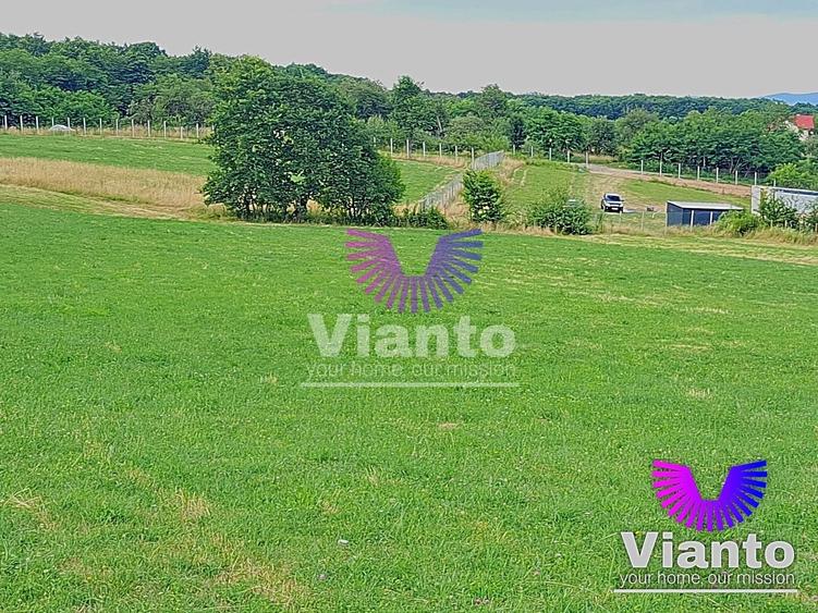 Teren agricol extravilan de 3100 mp, în Rășinari