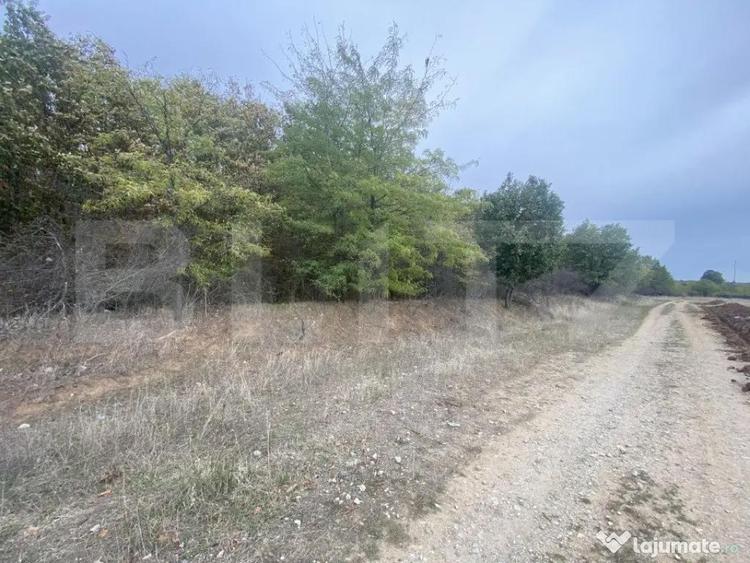 Teren partial intravilan 15000 mp, deschidere 136 m, zona Pa - 4