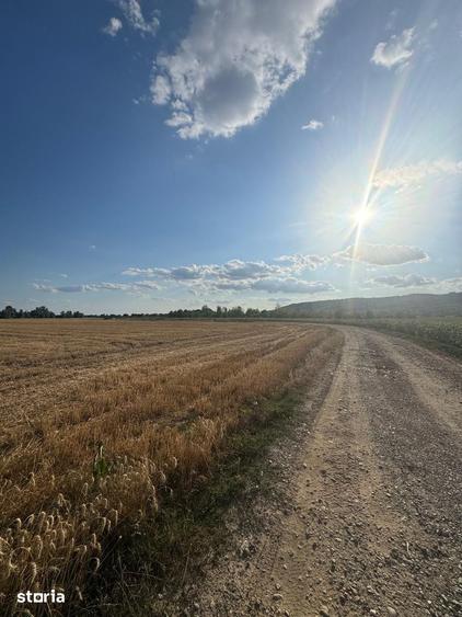 Teren de 520 mp, în Oșorhei
