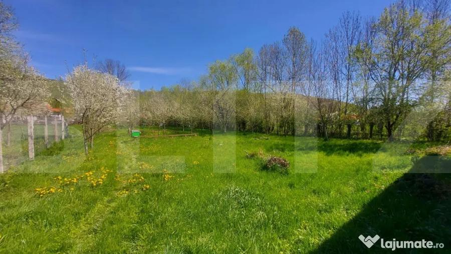Casă cu 2 camere cu Teren 3100 Mp în Lisnău