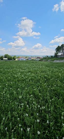 3444 MP TEREN VANZARE-1800NMP INTRAVILAN - 1