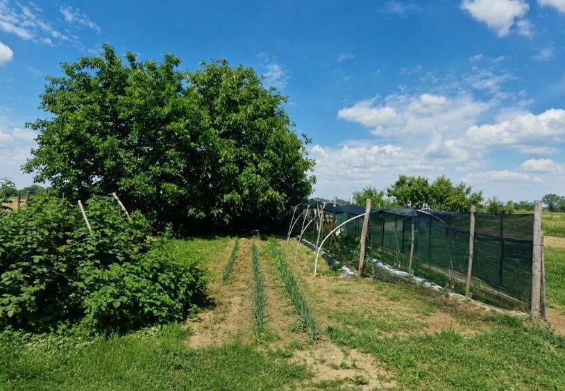 Casă cu 3 camere în Vetiș