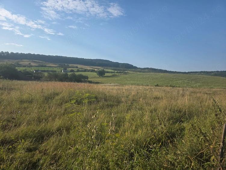Teren de 2600 mp, în Central