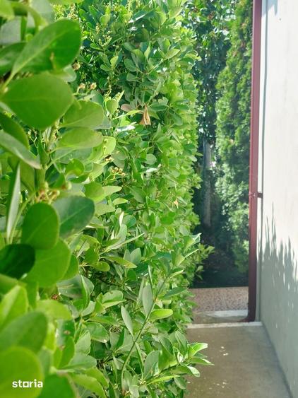 Casă cu 4 camere cu Teren 515 Mp în Corbu