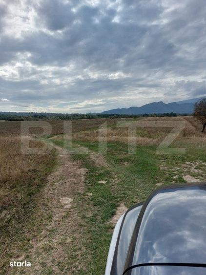Teren de 10000 mp, în Râșnov