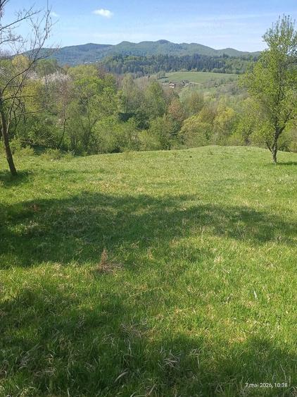Teren de 10000 mp, în Bughea de Sus