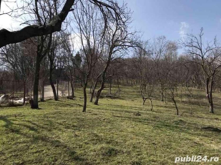 Teren de 1660 mp, în Teișani