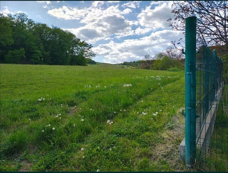 Teren de 3000 mp, în Unirii