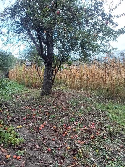 Casă cu 4 camere în Vizantea Mănăstirească