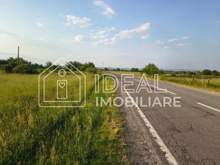 Teren agricol extravilan de 1800 mp, în Cârțișoara
