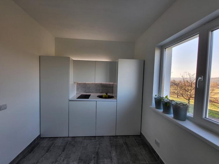 Casă cu 3 camere în Central