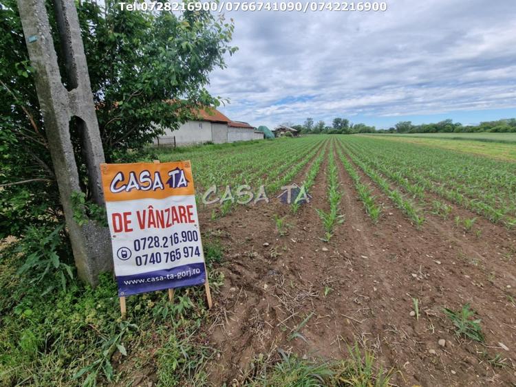 Teren Construcții intravilan de 7500 mp, în Bălești