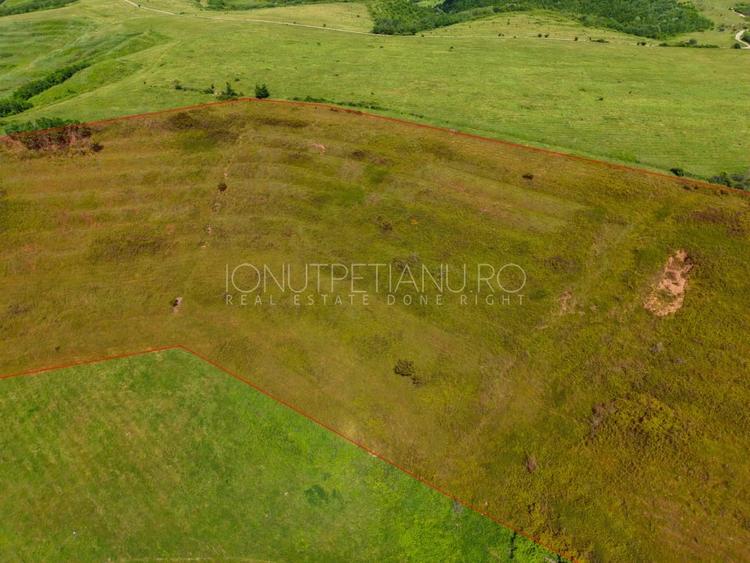 Teren agricol extravilan de 56362 mp, în Ștefănești