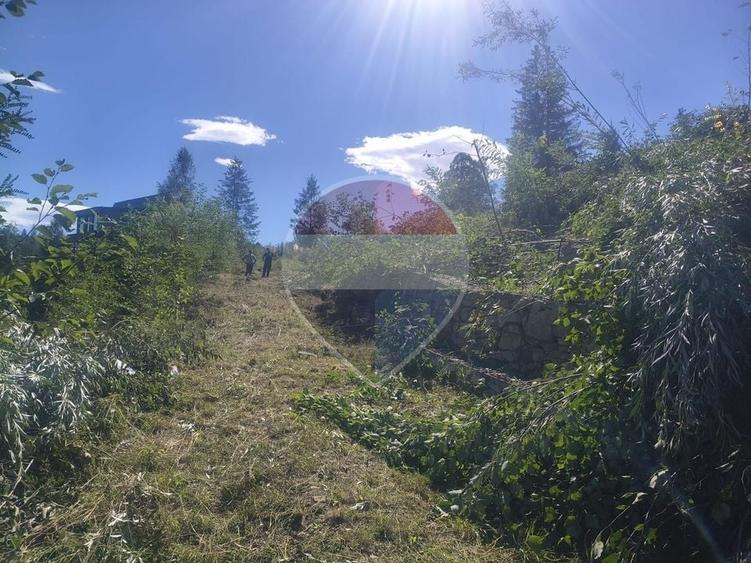 Teren Construcții intravilan de 5000 mp, în Central