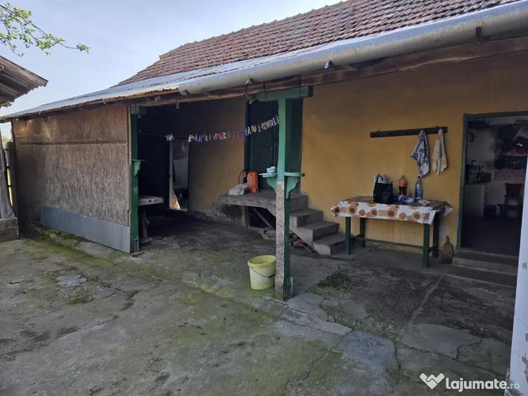 Casă cu 3 camere în Central