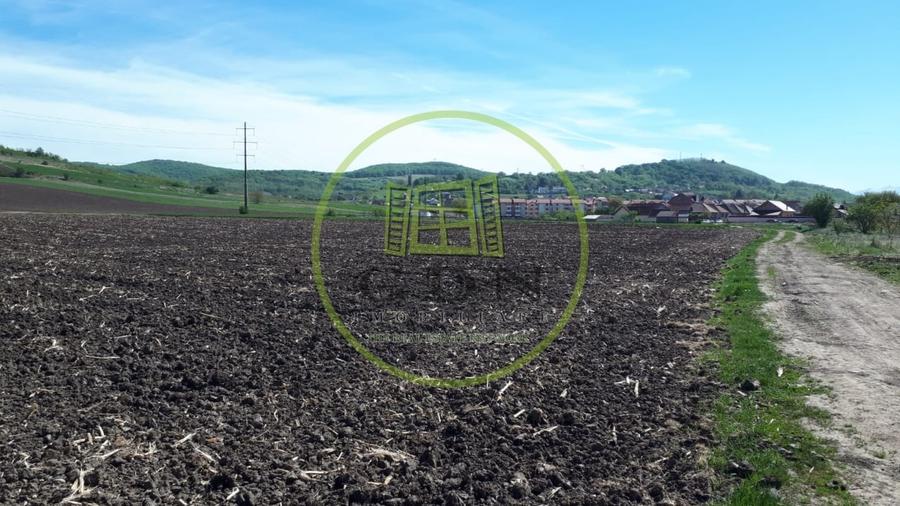 Teren agricol extravilan de 7720 mp, în Gușterița