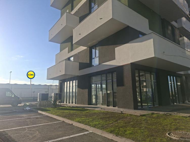 Spațiu comercial, de 173.14999389648 mp, în Torontalului
